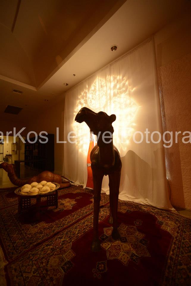 Berberisca Henna DJ in Aventura, Florida, Beit David Highland Lakes Shul (53)