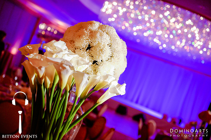 The-Ritz-Carlton-Fort-Lauderdale-Wedding-Pictures